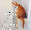 吴吴吴吴5555头像