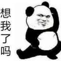 husthq头像