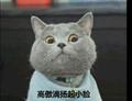 朕好污头像