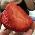 馒头吃掉了肉头像