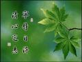 頭條筱佬冭头像