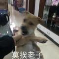 陈某1998头像