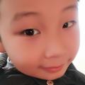 罗罗275786076头像