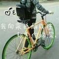 用户2452732286979头像
