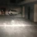 gaoyue152128头像