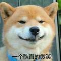 耿直的柴犬头像