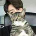 小猫谢谢cctvmtv头像