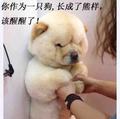 福禄小六娃头像