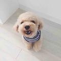 我想你是海Yc头像