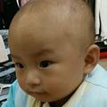 乐乐的乐乐17头像