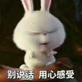 迷糊4352头像