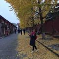 黛19002974头像