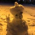 A_踏雪寻牛头像