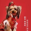 天下不公以万物为刍狗头像