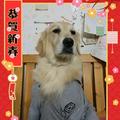 敏84537614头像