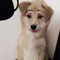 微星92头像