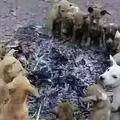 佛说要上王者头像