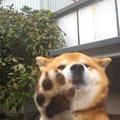风趣时光易逝头像