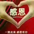 hallo哈罗头像