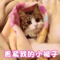 穿衣服的熊猫头像
