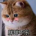 Chellonese头像