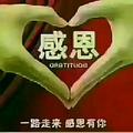 珍惜2351422560034头像