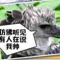 十年7910头像
