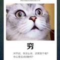 A0-先锋头像