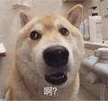 陌路127521749头像