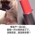 春天到了hiahiahia头像