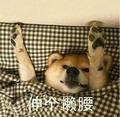 往事再再再随风头像