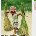 66666677249头像