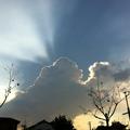 sunnowsun头像