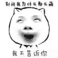 杨杨17538头像