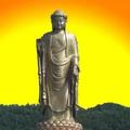 157361188头像