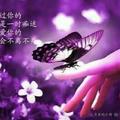 六平407头像