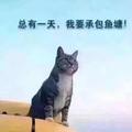 赵汝发294头像