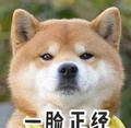 愤怒的五菱宏光头像