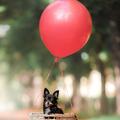 兜兜转转许多年头像
