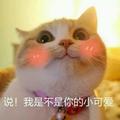 长腿叔叔267头像