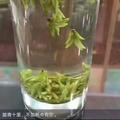 晨曦7360439150868头像