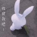 阿库拉玛塔塔45头像