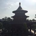 晴空万里4497头像