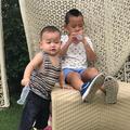 斯&诺头像