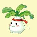 菜头272头像