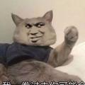 平头哥wz头像