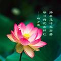 华丽转身3421头像