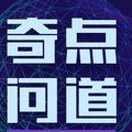 奇点问道头像