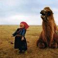 放骆驼的娃鍩雨 · 长安欧尚科赛Pro车主·车龄1年头像
