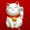 jeffyang1129头像